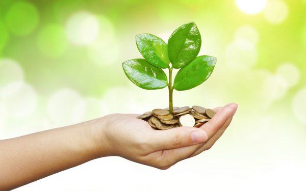 groen-duurzaam-beleggen-in-5-stappen-optimist