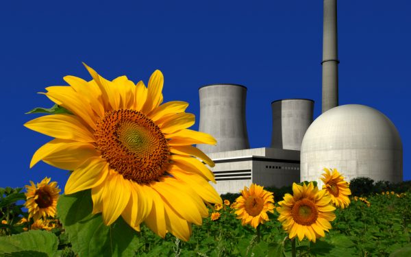 zonne-energie-goedkoper-dan-kernenergie-optimist2