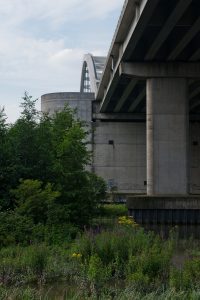 Onder de van Brienoordbrug is een getijdengeul aangelegd die het tij op de Nieuwe Maas vrij spel geeft. Snelstromend water zet slib af waarop kattenstaart, rivierkruiskruid en wilgenbomen bloeien. In het water gedijt trekvis zoals fint.