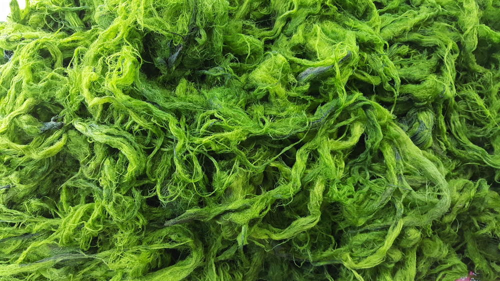 algen-in-plaats-van-vlees-duurzaam-optimist