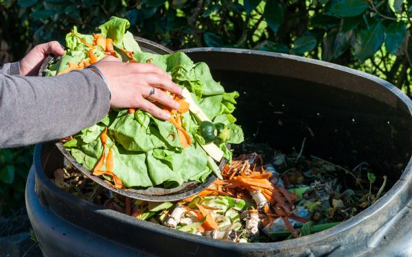 eten-wordt-methaangas-en-via-aquaponie-groente-vis-optimist