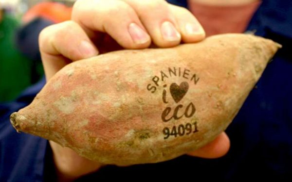 avocado-en-aardappel-verpakt-zonder-verpakking-optimist