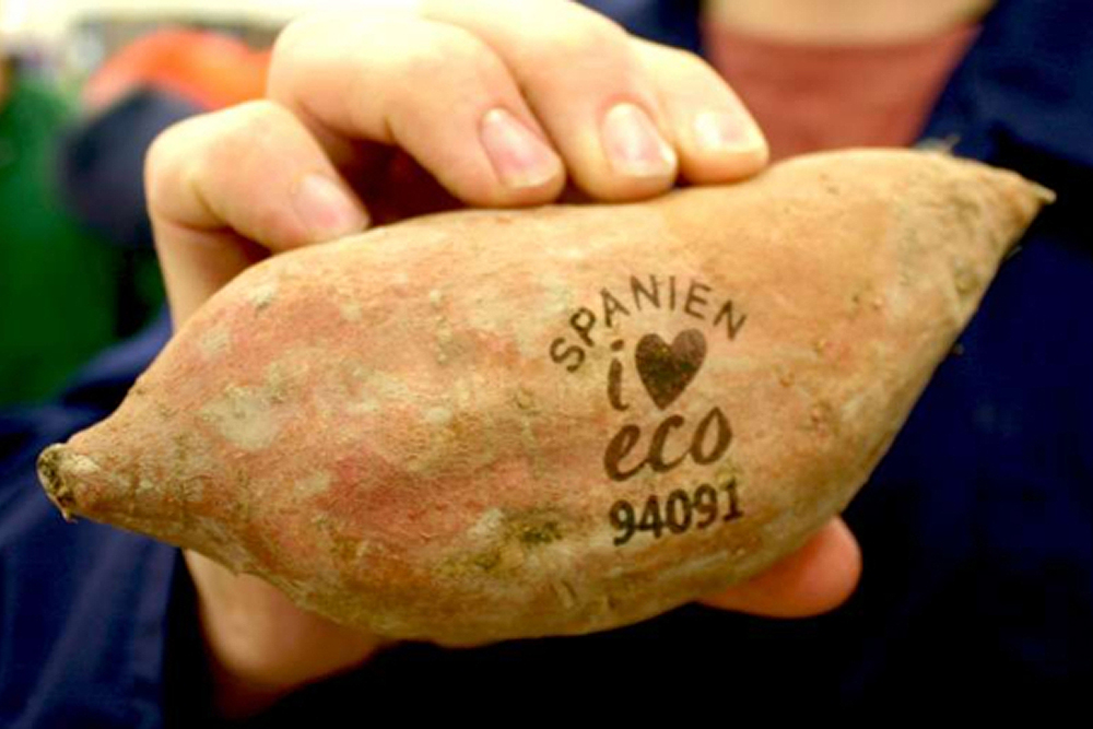 avocado-en-aardappel-verpakt-zonder-verpakking-optimist