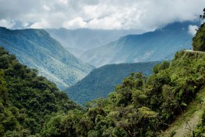 duurzaam hout Bolivia