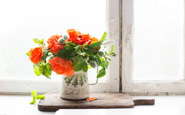 Een effectief In de meeste gevallen Onderzoek Dit zijn 3 redenen om nog vaker bloemen in huis te hebben - The Optimist