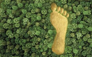 Naar Footprint Justice