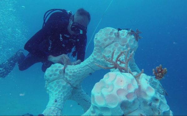 3D-geprint koraal op de Malediven oplossing voor koraalsterfte