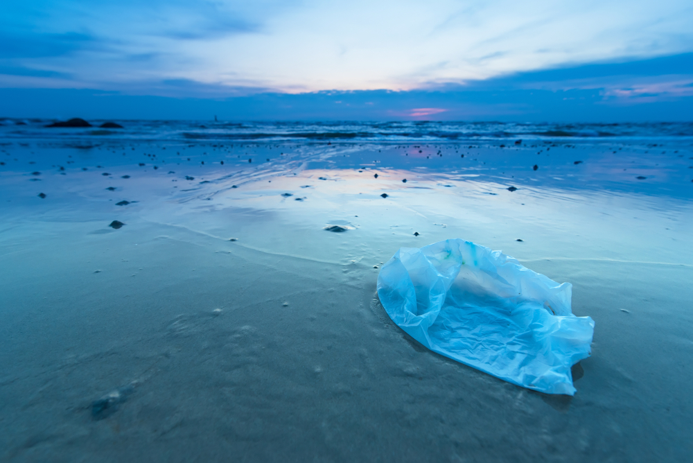 Europees Parlement: verbod op wegwerpplastic en zuurstof-afbreekbaar plastic in 2021
