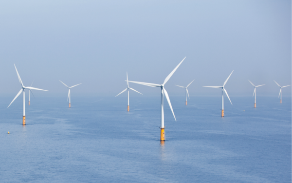 Flinke subsidie om vogelsterfte door windmolens te beperken