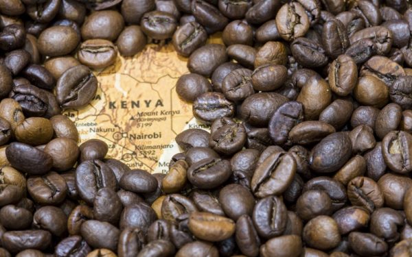 Volg de koffiereis naar het Keniaanse hoogland