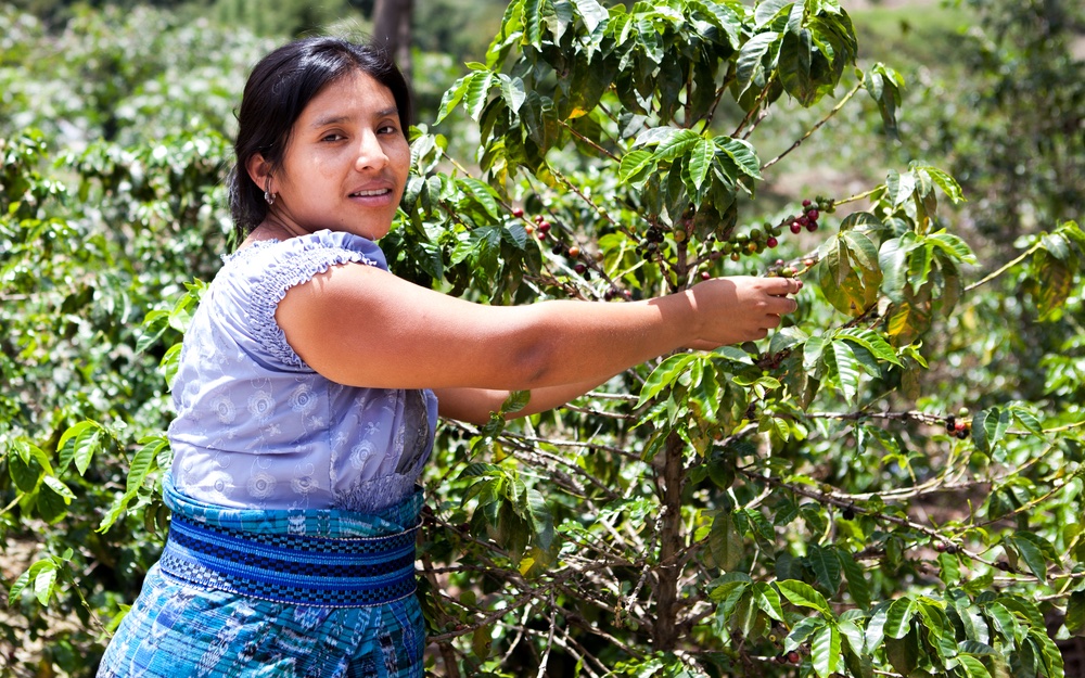 App voor landregistratie helpt Colombiaanse boeren