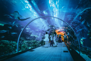 Aquarium bezoek