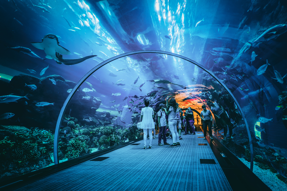 Aquarium central park