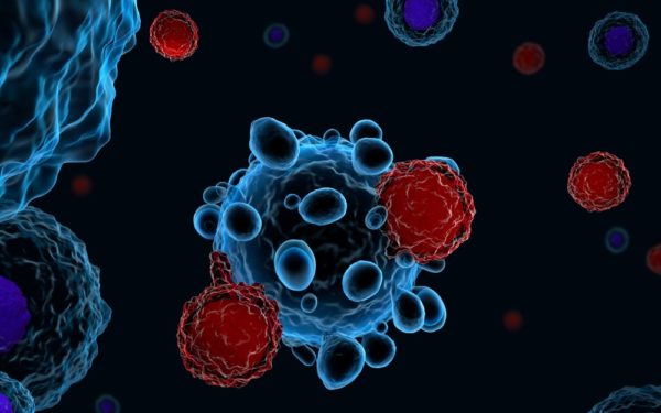 Ons immuunsysteem als kankerbestrijding, volgens onderzoekers is dat mogelijk