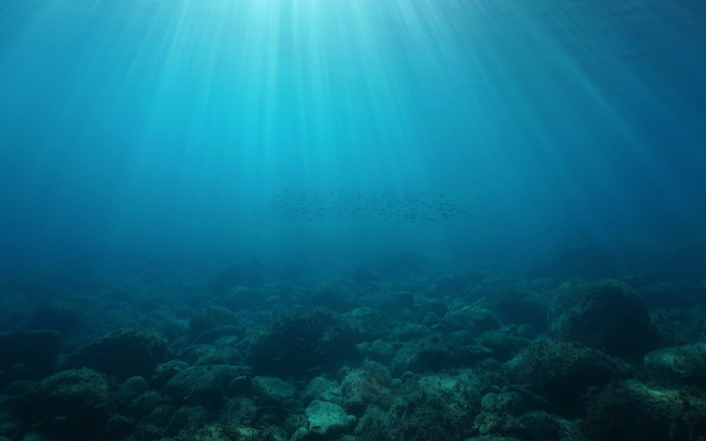 ‘Zeemeerminnen’ brengen bodem van de oceaan in beeld