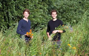 Een kopje biodiversiteit