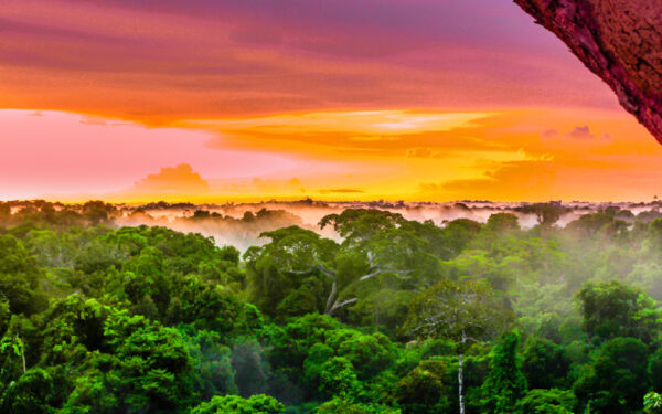 View,On,Purple,Sunset,Over,Rainforest,By,Leticia,In,Colombia