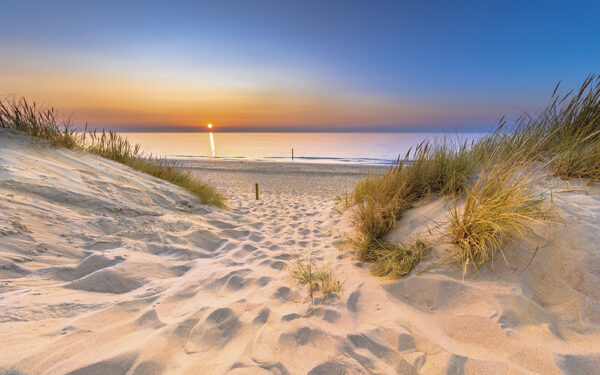 Inviting,Sunset,View,Over,Ocean,From,Dune,Over,North,Sea