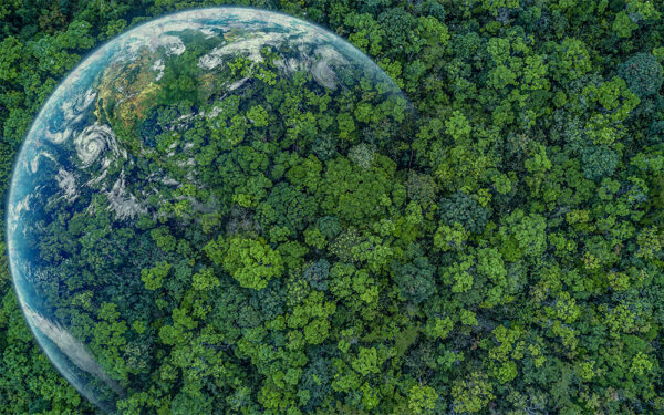 Aerial,Top,View,Green,Forest,With,Earth,,Green,Planet,In