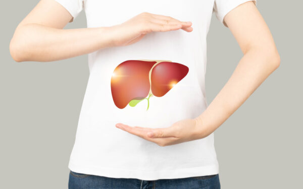 Healthy,Human,Liver,And,Gallbladder,Anatomy,Between,Two,Palms.,Protecting