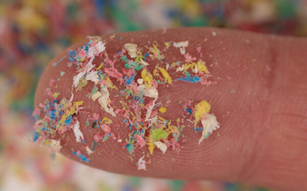 Close-up,Shot,Of,Microplastics,On,Human,Fingers.,Creative,Concept,Of