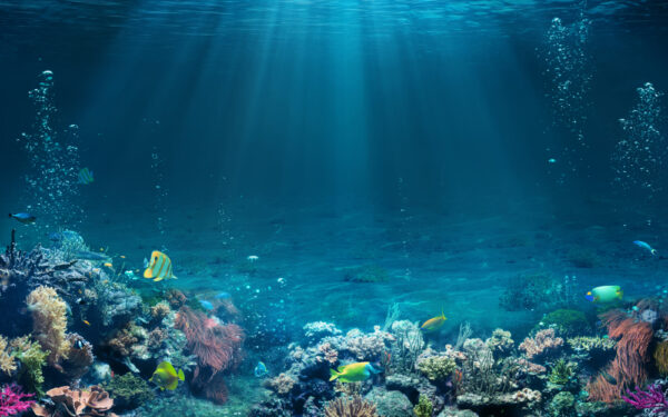 Underwater,Scene,-,Tropical,Seabed,With,Reef,And,Sunshine