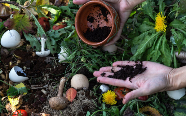 Woman,Hands,Keep,Coffee,Grounds,Above,Compost,Box,Outdoors,Full