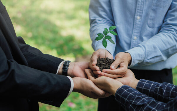Group,Of,Business,Hands,Holding,Young,Plant,On,Blur,Green