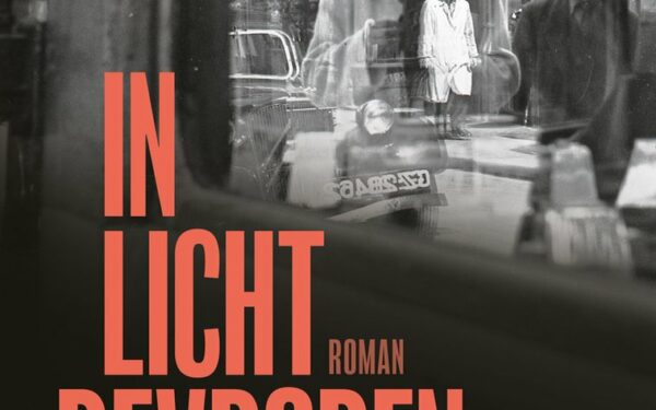 Brigitte de Swart In licht bevroren